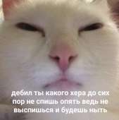 958x960