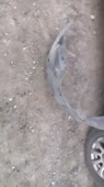 406x720