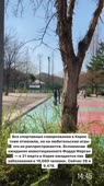 640x1136