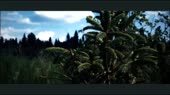 640x360