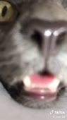 540x960