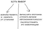 1280x884