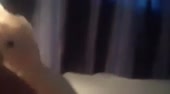 400x222