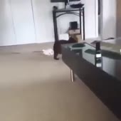 360x360