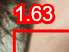 69x52