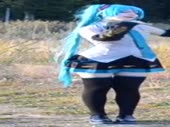 320x240