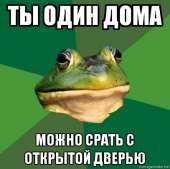 407x405
