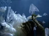 480x360