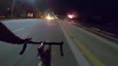 430x242