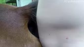 400x226