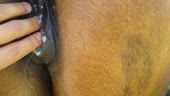 400x226
