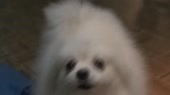 640x360