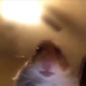 360x360