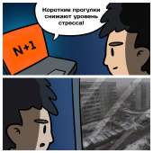 811x811
