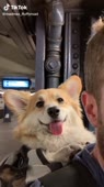 540x960
