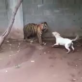 360x360