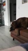 358x640