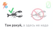 1280x720