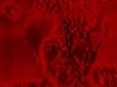 480x360