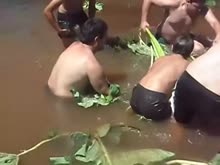 480x360