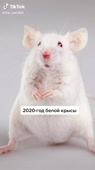 540x960
