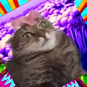 360x360