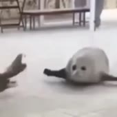 360x360