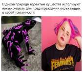 1234x1080