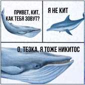 960x960