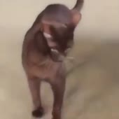 360x360