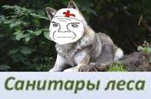 730x483
