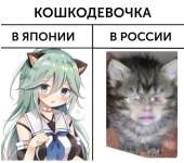 1016x902