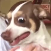 360x360