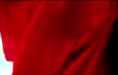 320x204