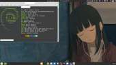 1366x768