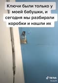 510x734