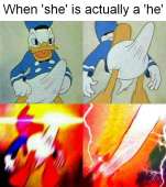 590x663