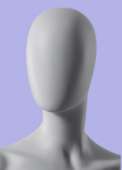 270x375