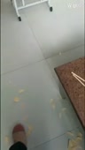 460x808