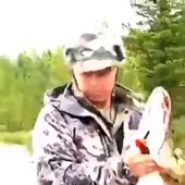 320x320