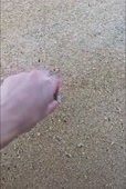 338x500