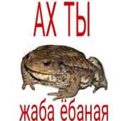 398x398
