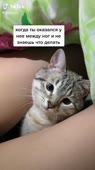 540x960