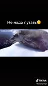 540x960