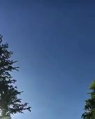 288x360