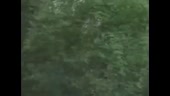 480x272