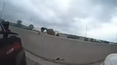 460x258