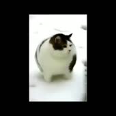 360x360
