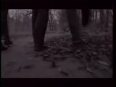 480x360