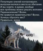 734x865